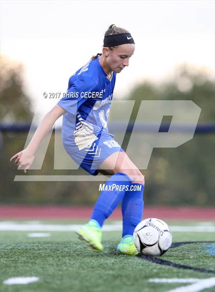 Thumbnail 3 in Webster Schroeder vs. Victor (Section 5 Class AA Semifinal) photogallery.