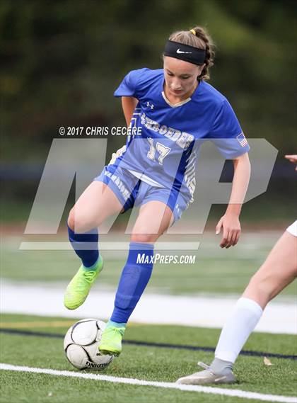Thumbnail 3 in Webster Schroeder vs. Victor (Section 5 Class AA Semifinal) photogallery.