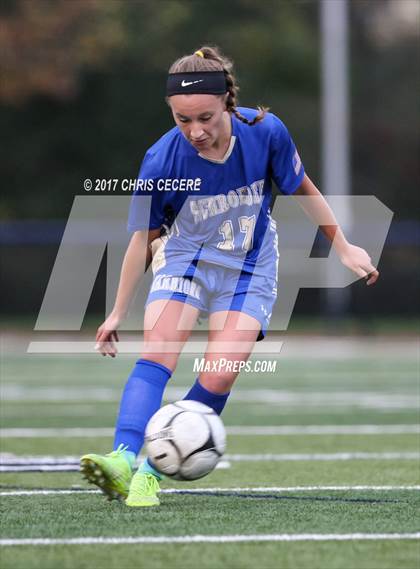 Thumbnail 1 in Webster Schroeder vs. Victor (Section 5 Class AA Semifinal) photogallery.