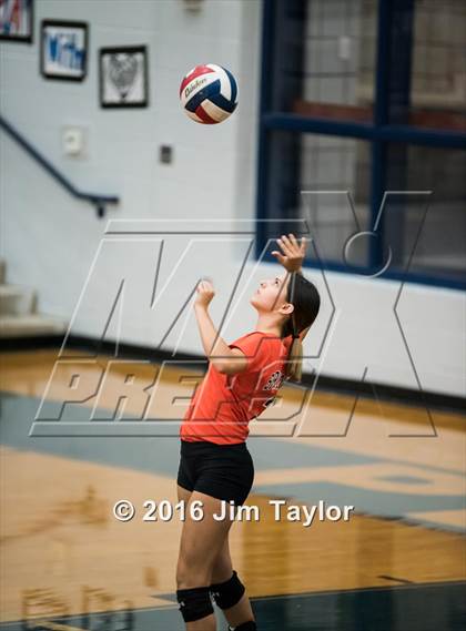 Thumbnail 1 in Springtown @ Peaster photogallery.