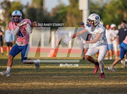 Thumbnail 3 in JV: Oasis @ Ida Baker photogallery.