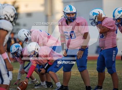 Thumbnail 2 in JV: Oasis @ Ida Baker photogallery.