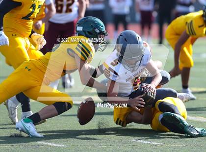 Thumbnail 2 in Royal vs Simi photogallery.