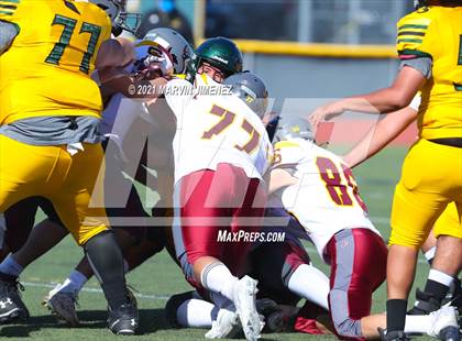 Thumbnail 2 in Royal vs Simi photogallery.