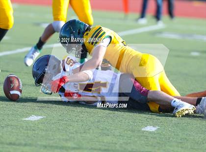 Thumbnail 3 in Royal vs Simi photogallery.