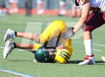 Thumbnail 3 in Royal vs Simi photogallery.