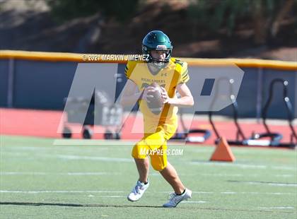 Thumbnail 1 in Royal vs Simi photogallery.
