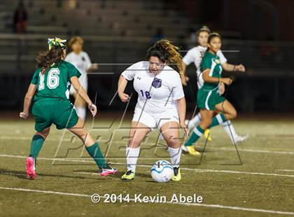 Thumbnail 1 in Peoria vs North Canyon (Pride in Paradise Tournament) photogallery.