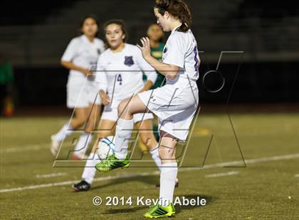 Thumbnail 1 in Peoria vs North Canyon (Pride in Paradise Tournament) photogallery.