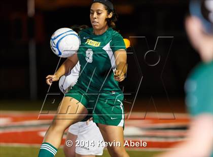 Thumbnail 1 in Peoria vs North Canyon (Pride in Paradise Tournament) photogallery.
