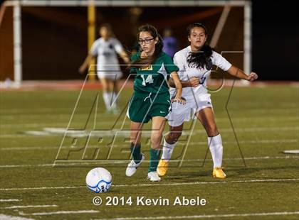 Thumbnail 2 in Peoria vs North Canyon (Pride in Paradise Tournament) photogallery.