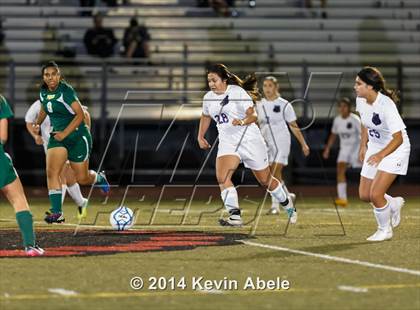 Thumbnail 1 in Peoria vs North Canyon (Pride in Paradise Tournament) photogallery.