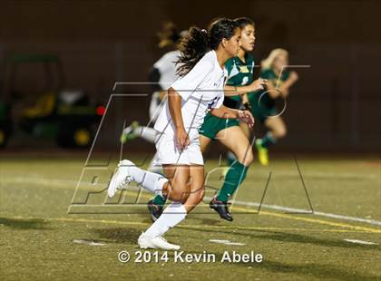 Thumbnail 1 in Peoria vs North Canyon (Pride in Paradise Tournament) photogallery.