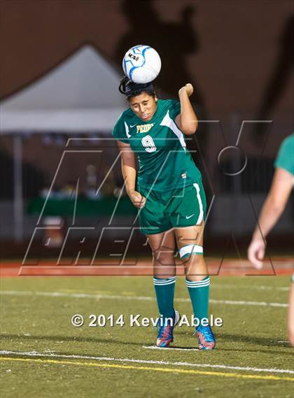 Thumbnail 3 in Peoria vs North Canyon (Pride in Paradise Tournament) photogallery.