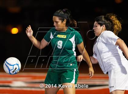 Thumbnail 3 in Peoria vs North Canyon (Pride in Paradise Tournament) photogallery.