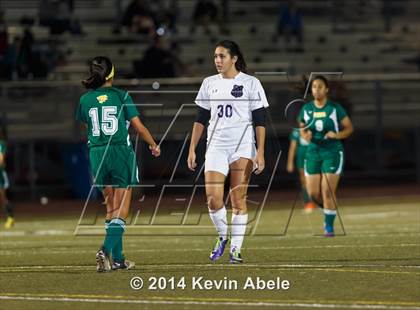 Thumbnail 3 in Peoria vs North Canyon (Pride in Paradise Tournament) photogallery.