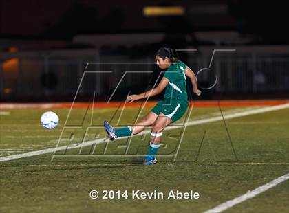 Thumbnail 3 in Peoria vs North Canyon (Pride in Paradise Tournament) photogallery.