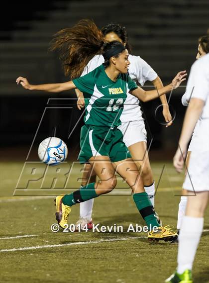 Thumbnail 3 in Peoria vs North Canyon (Pride in Paradise Tournament) photogallery.