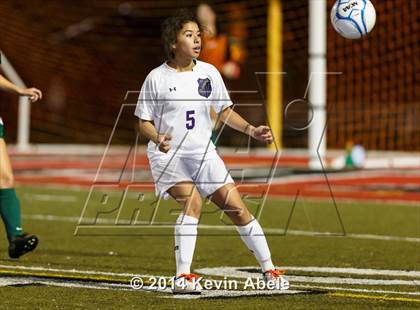 Thumbnail 3 in Peoria vs North Canyon (Pride in Paradise Tournament) photogallery.
