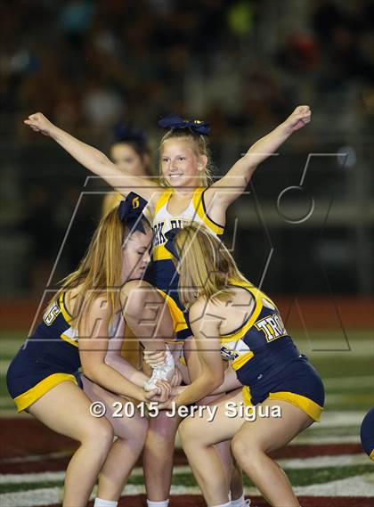 Thumbnail 3 in Oak Ridge @ Woodcreek photogallery.