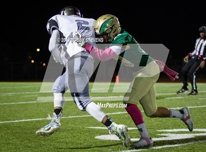 Thumbnail 2 in Harrison @ Falcon photogallery.