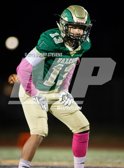 Thumbnail 2 in Harrison @ Falcon photogallery.
