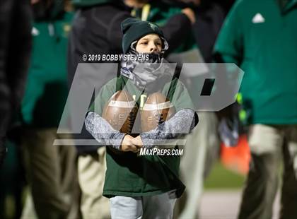 Thumbnail 1 in Harrison @ Falcon photogallery.