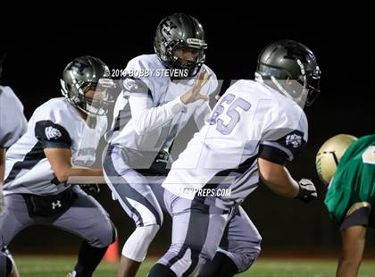 Thumbnail 1 in Harrison @ Falcon photogallery.