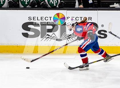 Thumbnail 3 in Methuen-Tewksbury vs Austin Prep (MIAA Division 1 State Final) photogallery.