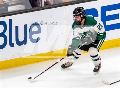 Thumbnail 3 in Methuen-Tewksbury vs Austin Prep (MIAA Division 1 State Final) photogallery.