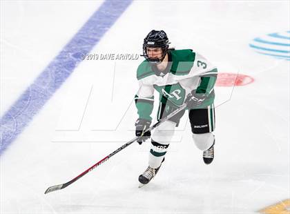 Thumbnail 3 in Methuen-Tewksbury vs Austin Prep (MIAA Division 1 State Final) photogallery.