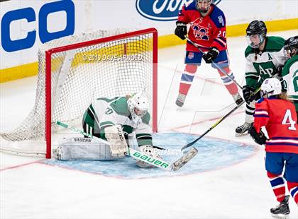 Thumbnail 1 in Methuen-Tewksbury vs Austin Prep (MIAA Division 1 State Final) photogallery.