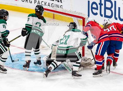 Thumbnail 2 in Methuen-Tewksbury vs Austin Prep (MIAA Division 1 State Final) photogallery.