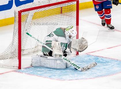 Thumbnail 2 in Methuen-Tewksbury vs Austin Prep (MIAA Division 1 State Final) photogallery.