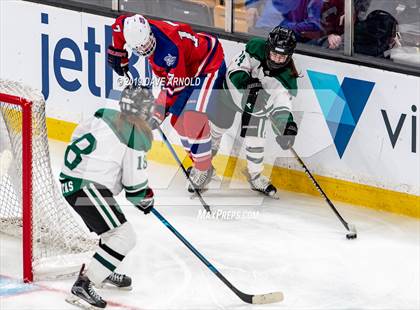 Thumbnail 2 in Methuen-Tewksbury vs Austin Prep (MIAA Division 1 State Final) photogallery.