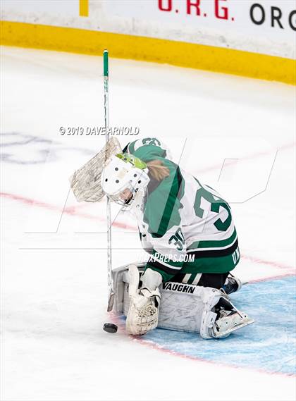 Thumbnail 3 in Methuen-Tewksbury vs Austin Prep (MIAA Division 1 State Final) photogallery.