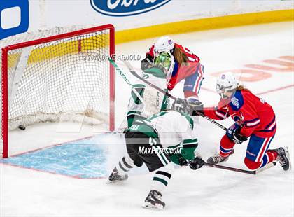 Thumbnail 1 in Methuen-Tewksbury vs Austin Prep (MIAA Division 1 State Final) photogallery.