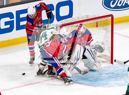 Thumbnail 3 in Methuen-Tewksbury vs Austin Prep (MIAA Division 1 State Final) photogallery.