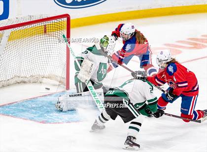 Thumbnail 3 in Methuen-Tewksbury vs Austin Prep (MIAA Division 1 State Final) photogallery.