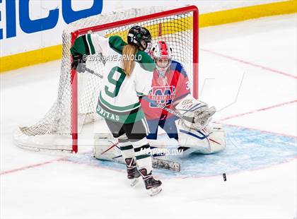 Thumbnail 3 in Methuen-Tewksbury vs Austin Prep (MIAA Division 1 State Final) photogallery.