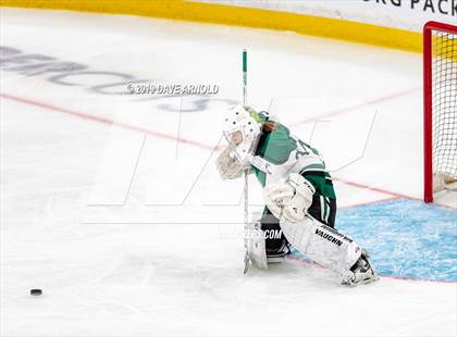 Thumbnail 3 in Methuen-Tewksbury vs Austin Prep (MIAA Division 1 State Final) photogallery.