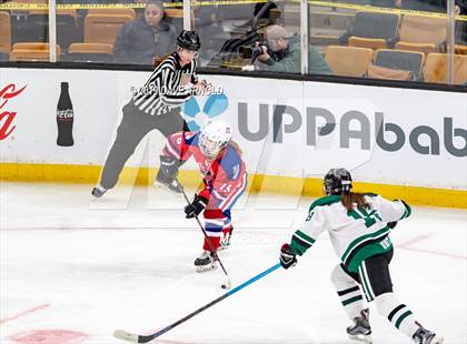 Thumbnail 1 in Methuen-Tewksbury vs Austin Prep (MIAA Division 1 State Final) photogallery.