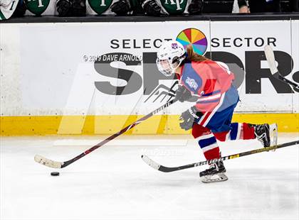 Thumbnail 1 in Methuen-Tewksbury vs Austin Prep (MIAA Division 1 State Final) photogallery.