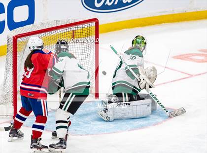 Thumbnail 3 in Methuen-Tewksbury vs Austin Prep (MIAA Division 1 State Final) photogallery.