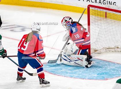 Thumbnail 1 in Methuen-Tewksbury vs Austin Prep (MIAA Division 1 State Final) photogallery.