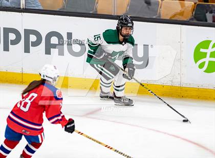 Thumbnail 2 in Methuen-Tewksbury vs Austin Prep (MIAA Division 1 State Final) photogallery.