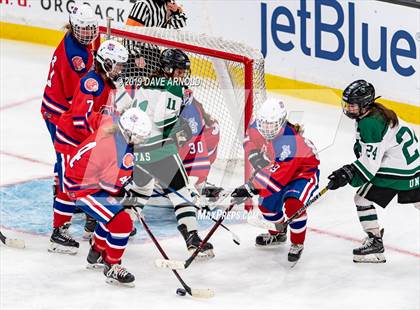 Thumbnail 1 in Methuen-Tewksbury vs Austin Prep (MIAA Division 1 State Final) photogallery.