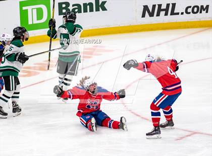 Thumbnail 3 in Methuen-Tewksbury vs Austin Prep (MIAA Division 1 State Final) photogallery.