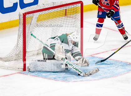 Thumbnail 3 in Methuen-Tewksbury vs Austin Prep (MIAA Division 1 State Final) photogallery.