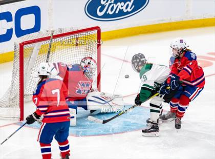 Thumbnail 1 in Methuen-Tewksbury vs Austin Prep (MIAA Division 1 State Final) photogallery.